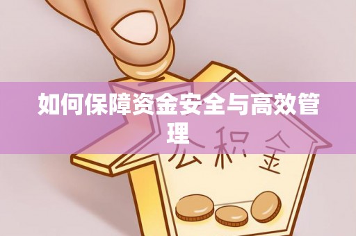 平南如何保障资金安全与高效管理