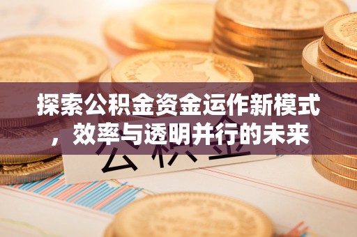 平南探索公积金资金运作新模式，效率与透明并行的未来