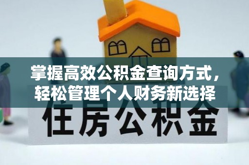 平南掌握高效公积金查询方式，轻松管理个人财务新选择