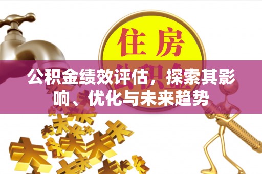 平南公积金绩效评估，探索其影响、优化与未来趋势