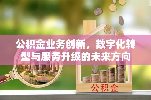 平南公积金业务创新，数字化转型与服务升级的未来方向