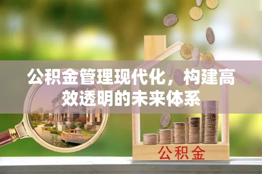平南公积金管理现代化，构建高效透明的未来体系