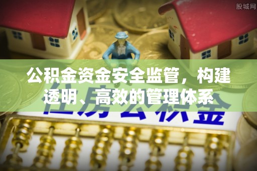 平南公积金资金安全监管，构建透明、高效的管理体系
