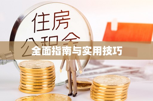 平南全面指南与实用技巧