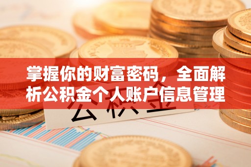平南掌握你的财富密码，全面解析公积金个人账户信息管理与优化