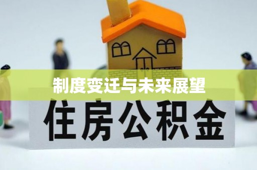 平南制度变迁与未来展望