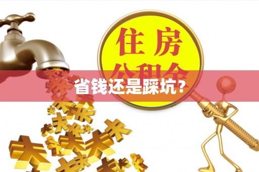平南省钱还是踩坑？