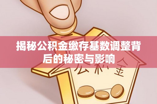 平南揭秘公积金缴存基数调整背后的秘密与影响