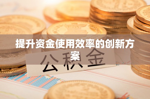 平南提升资金使用效率的创新方案