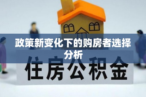 平南政策新变化下的购房者选择分析