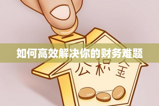 平南如何高效解决你的财务难题