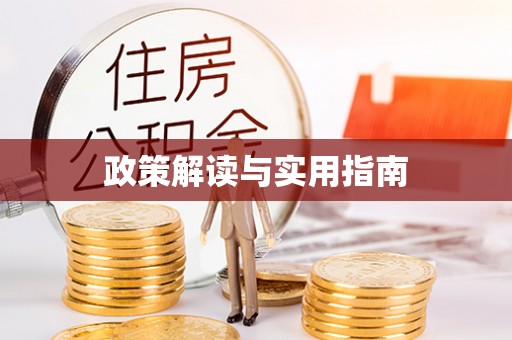平南政策解读与实用指南