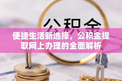 平南便捷生活新选择，公积金提取网上办理的全面解析