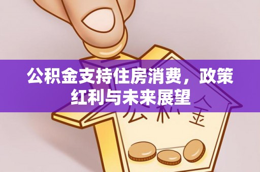 平南公积金支持住房消费，政策红利与未来展望