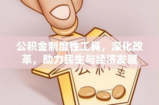 平南公积金制度性工具，深化改革，助力民生与经济发展
