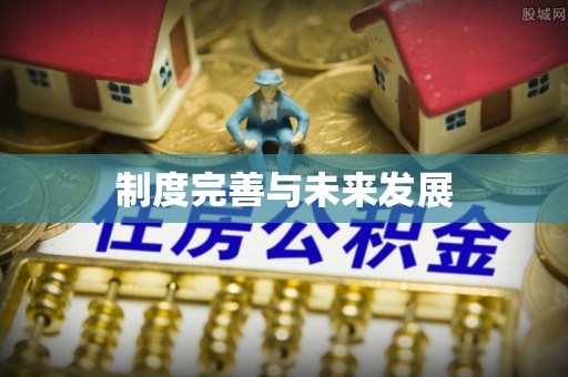 平南制度完善与未来发展