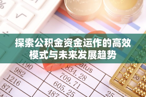 平南探索公积金资金运作的高效模式与未来发展趋势