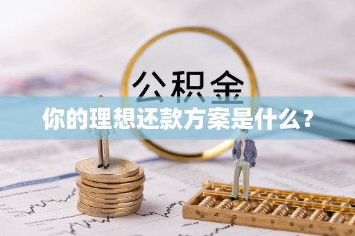 平南你的理想还款方案是什么？