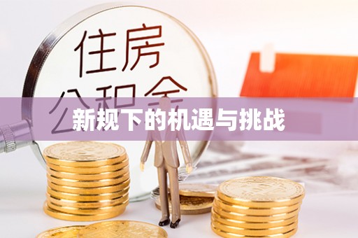 平南新规下的机遇与挑战
