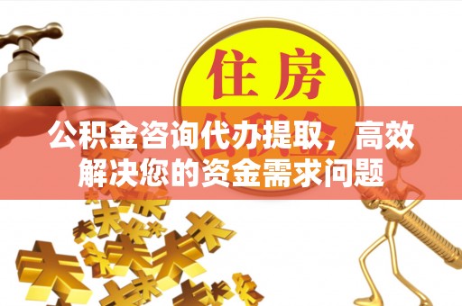 平南公积金咨询代办提取，高效解决您的资金需求问题