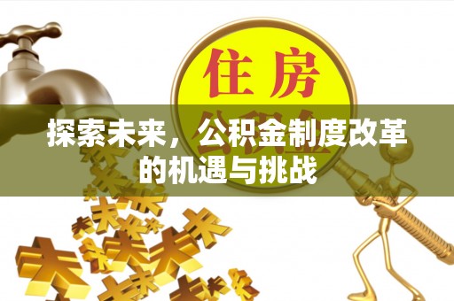 平南探索未来，公积金制度改革的机遇与挑战