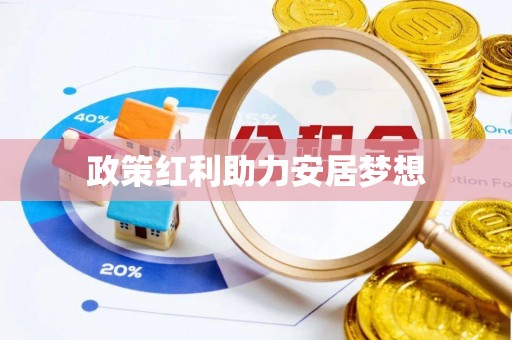 平南政策红利助力安居梦想