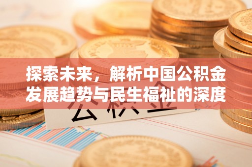 平南探索未来，解析中国公积金发展趋势与民生福祉的深度融合