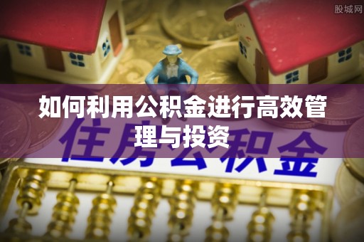 平南如何利用公积金进行高效管理与投资