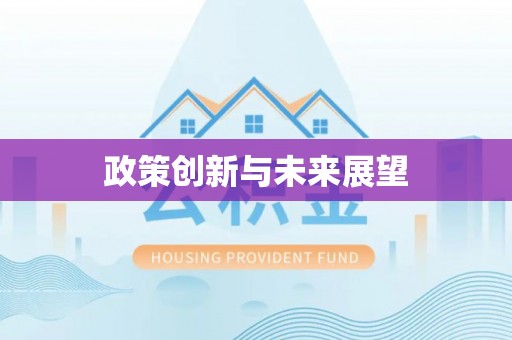 平南政策创新与未来展望